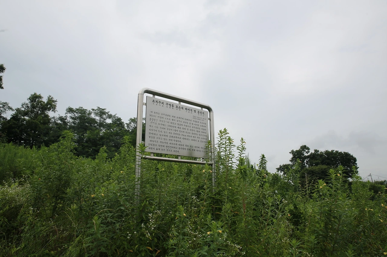 MG0A4701_новый размер.JPG