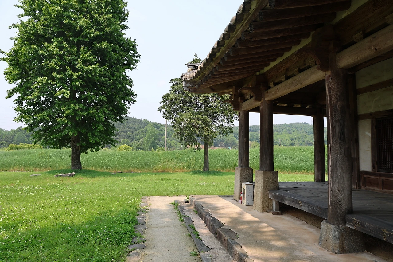 0R5A3568_новый размер.JPG