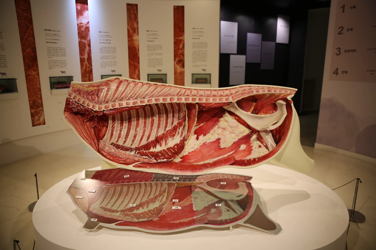 MG0A8341_новый размер.JPG