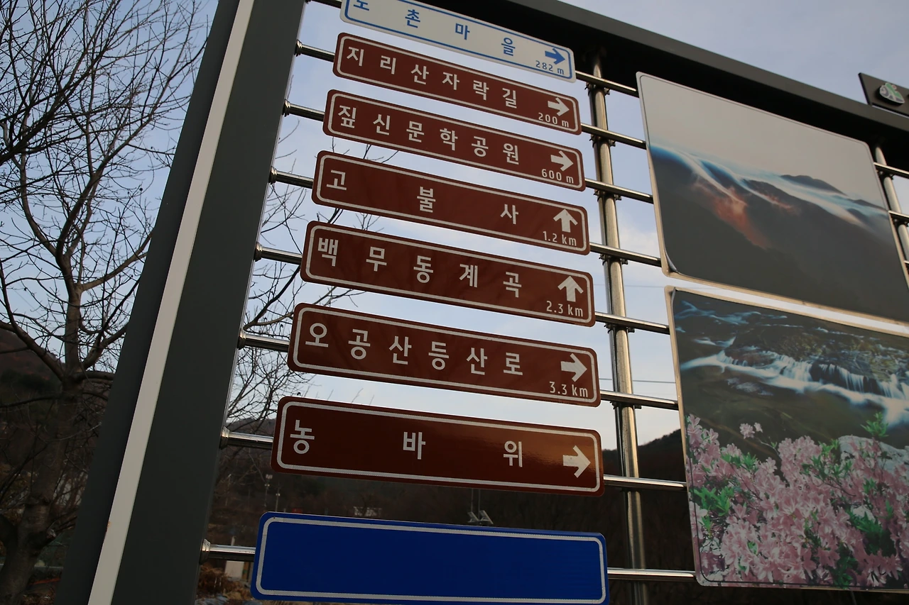 MG0A3774_новый размер.JPG