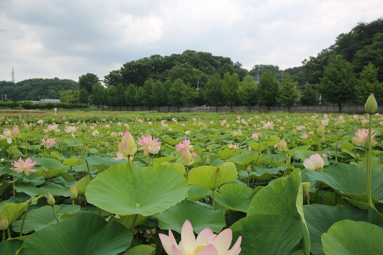 MG0A2716_новый размер.JPG