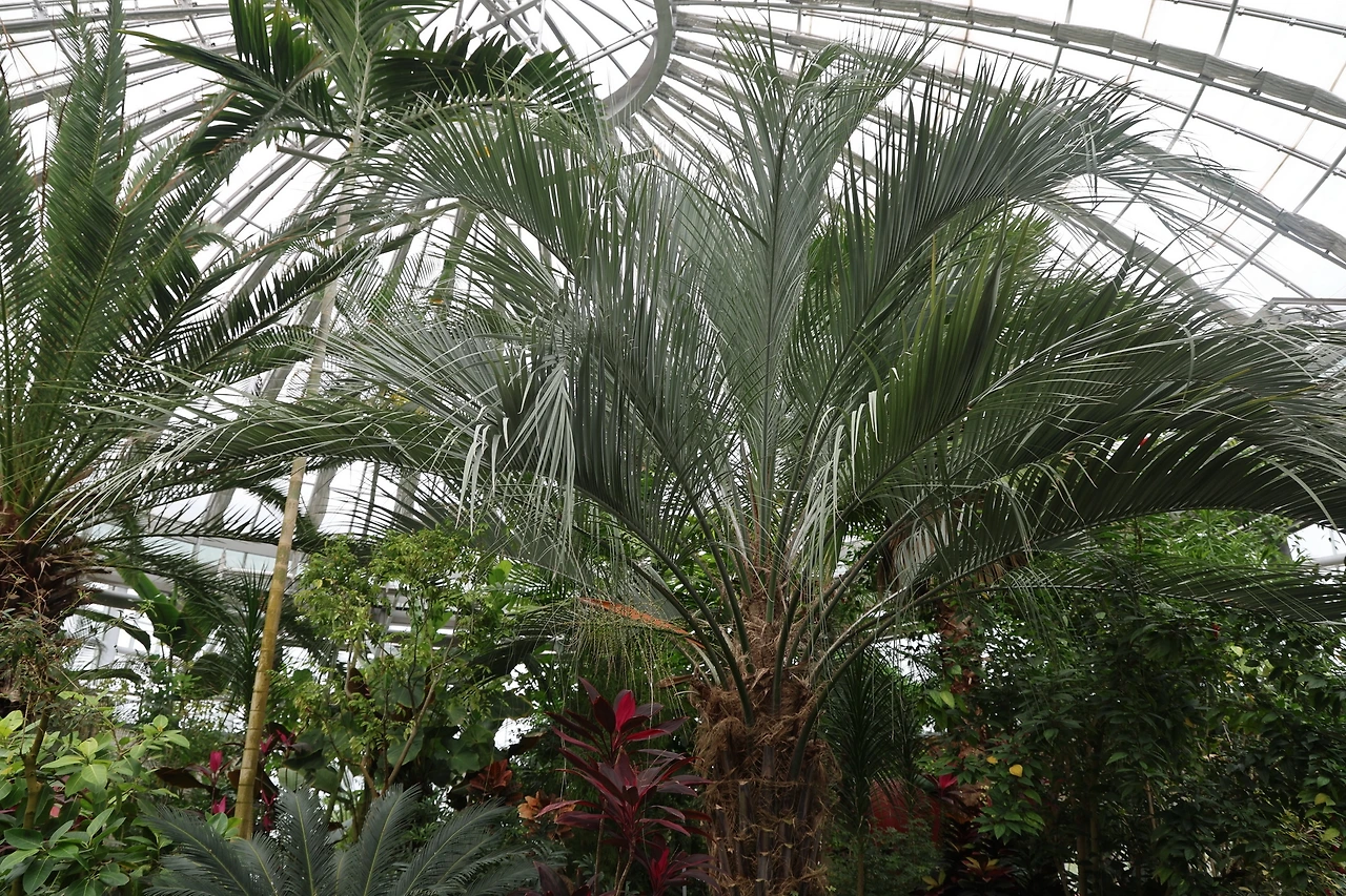 0R5A7532_новый размер.JPG