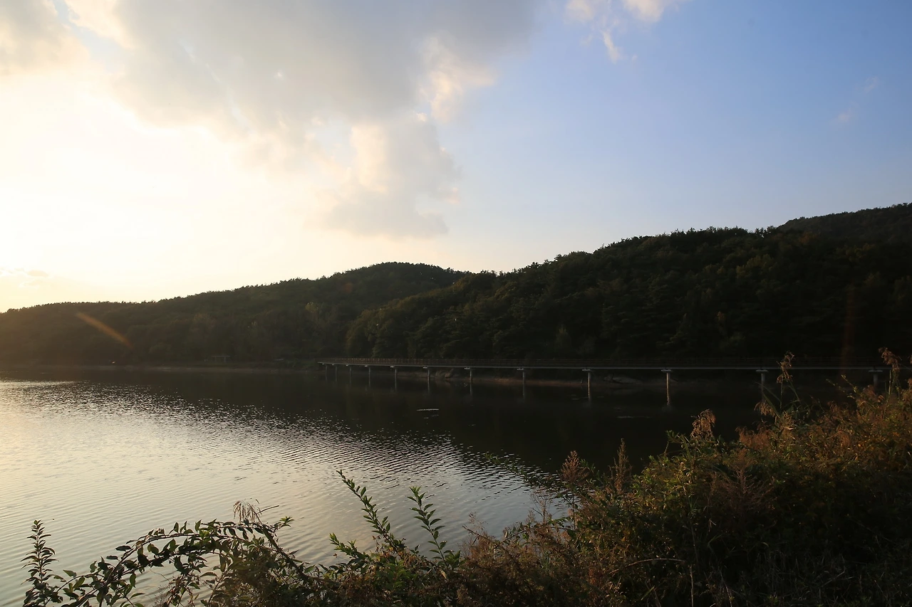 MG0A6615_новый размер.JPG