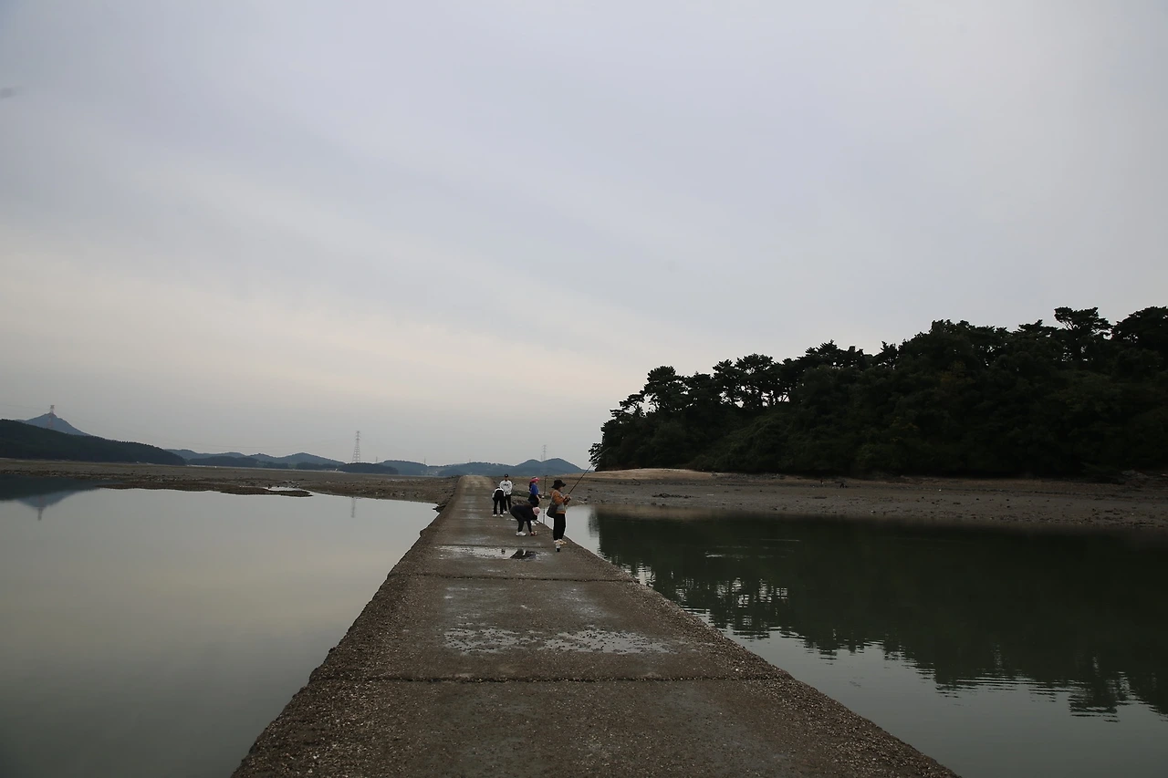 MG0A5379_новый размер.JPG