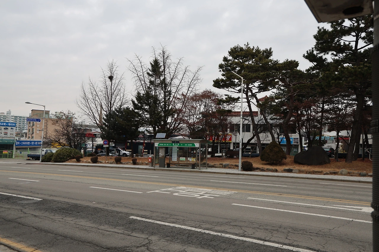 0R5A7391_новый размер.JPG