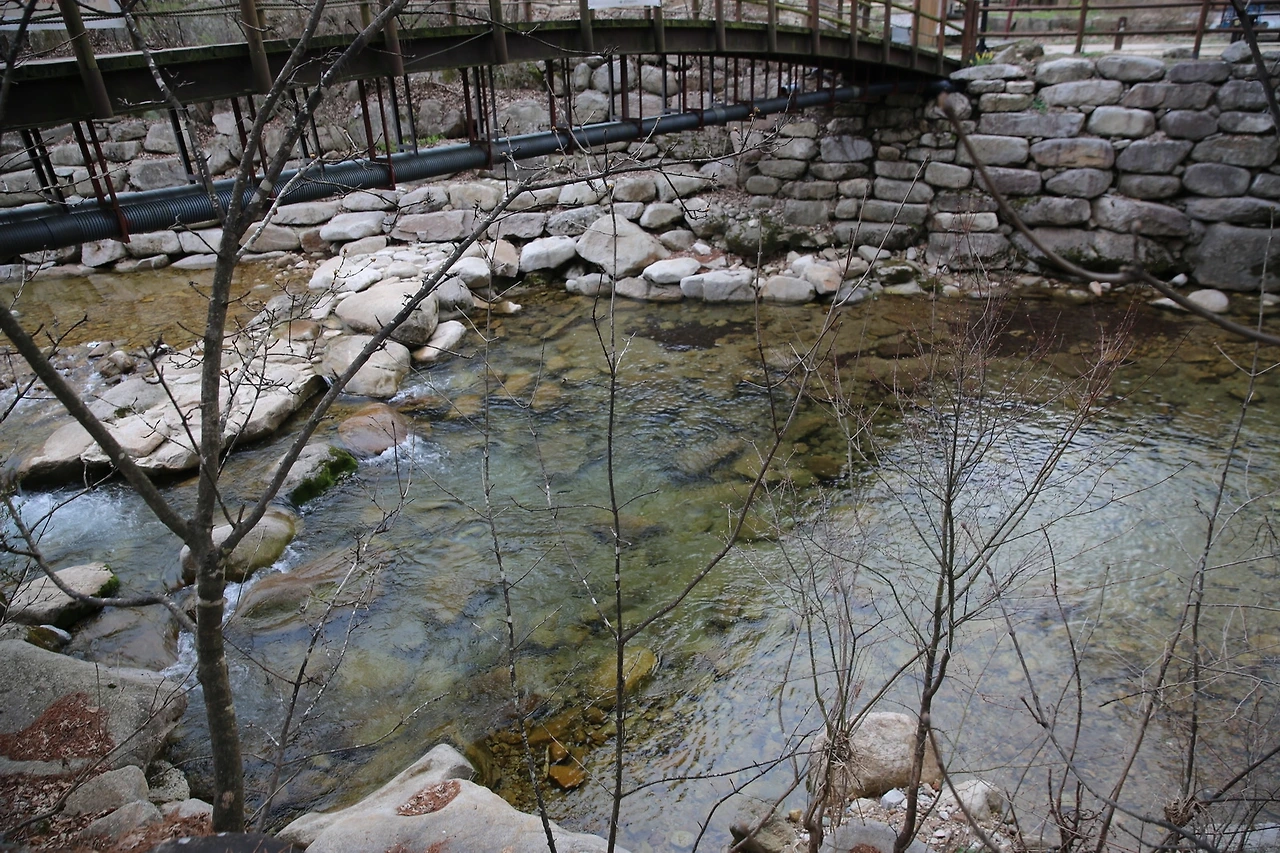 MG0A8413_новый размер.JPG