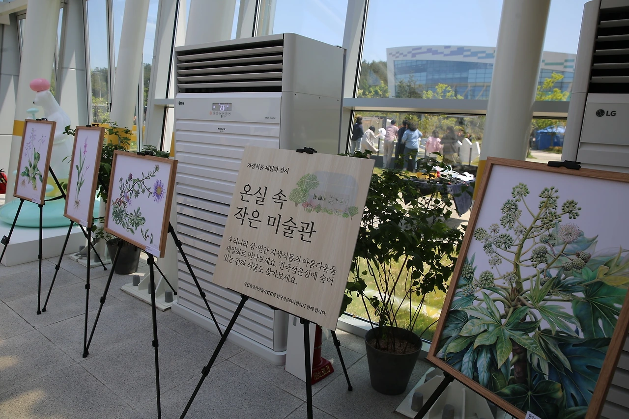 MG0A1913_новый размер.JPG