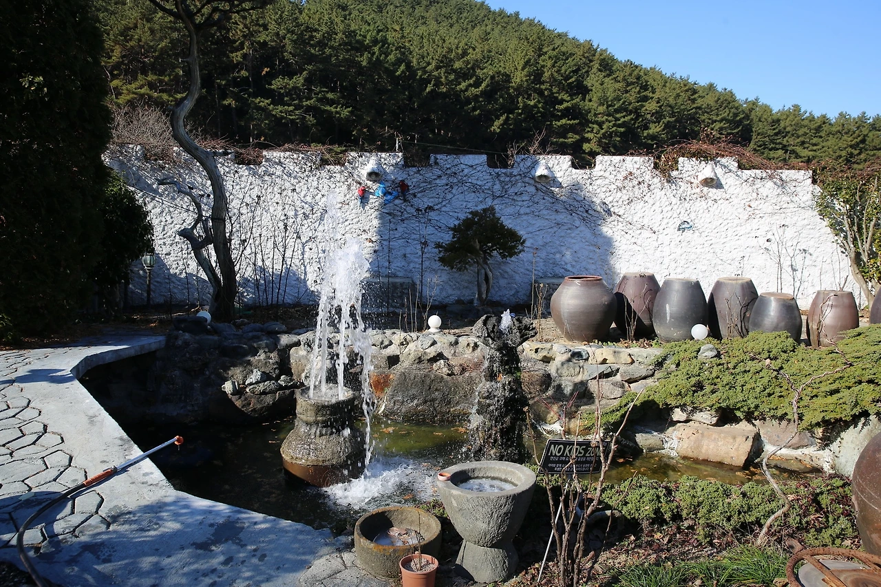 MG0A4790_новый размер.JPG