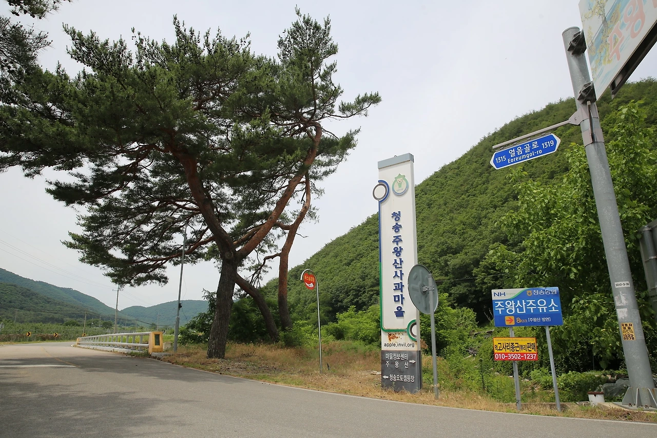 MG0A8534_новый размер.JPG