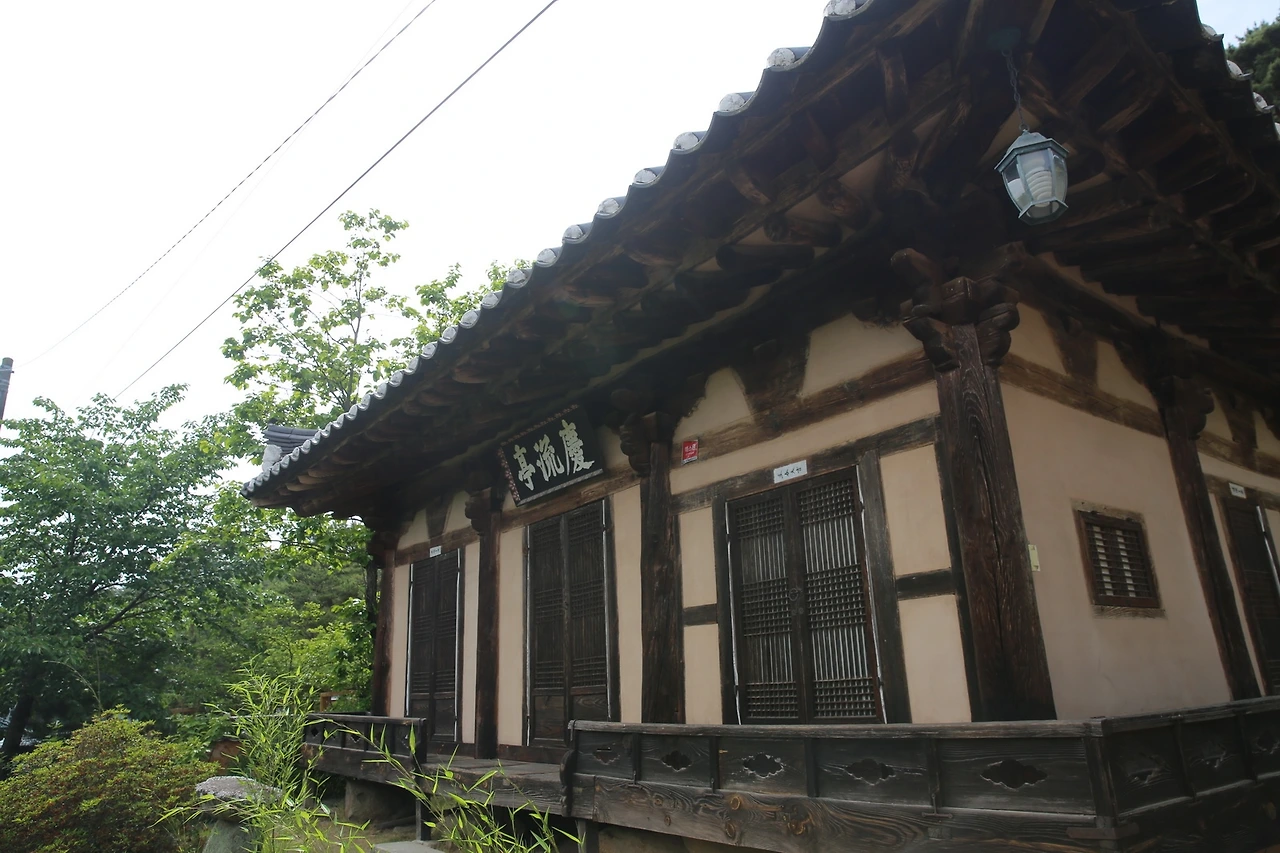 MG0A9650_новый размер.JPG