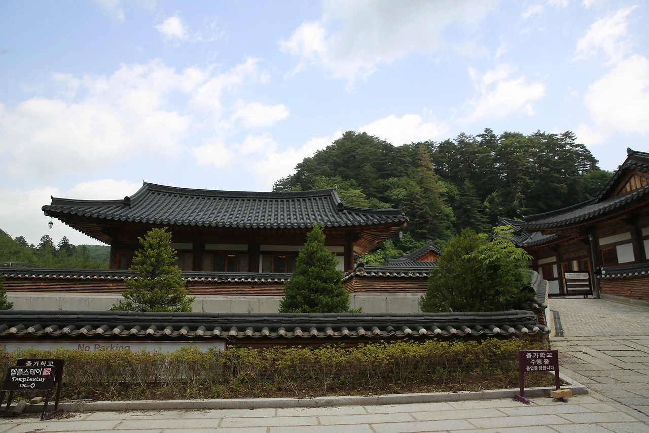 MG0A0774_новый размер - 복사본.JPG