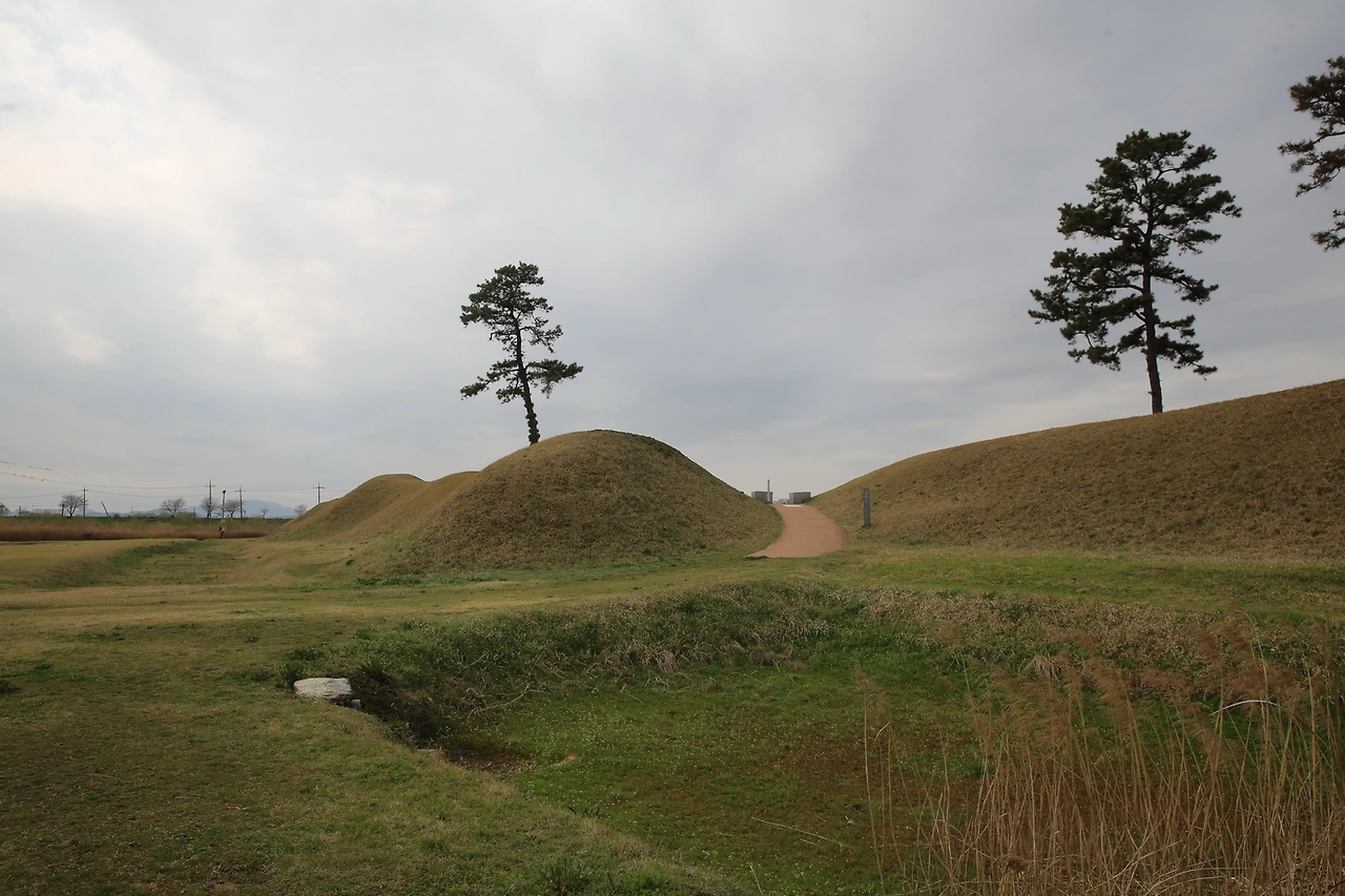 MG0A8238_новый размер.JPG