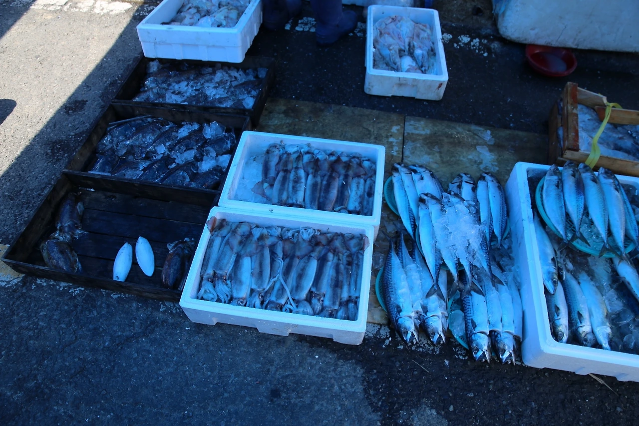 MG0A6129_новый размер.JPG