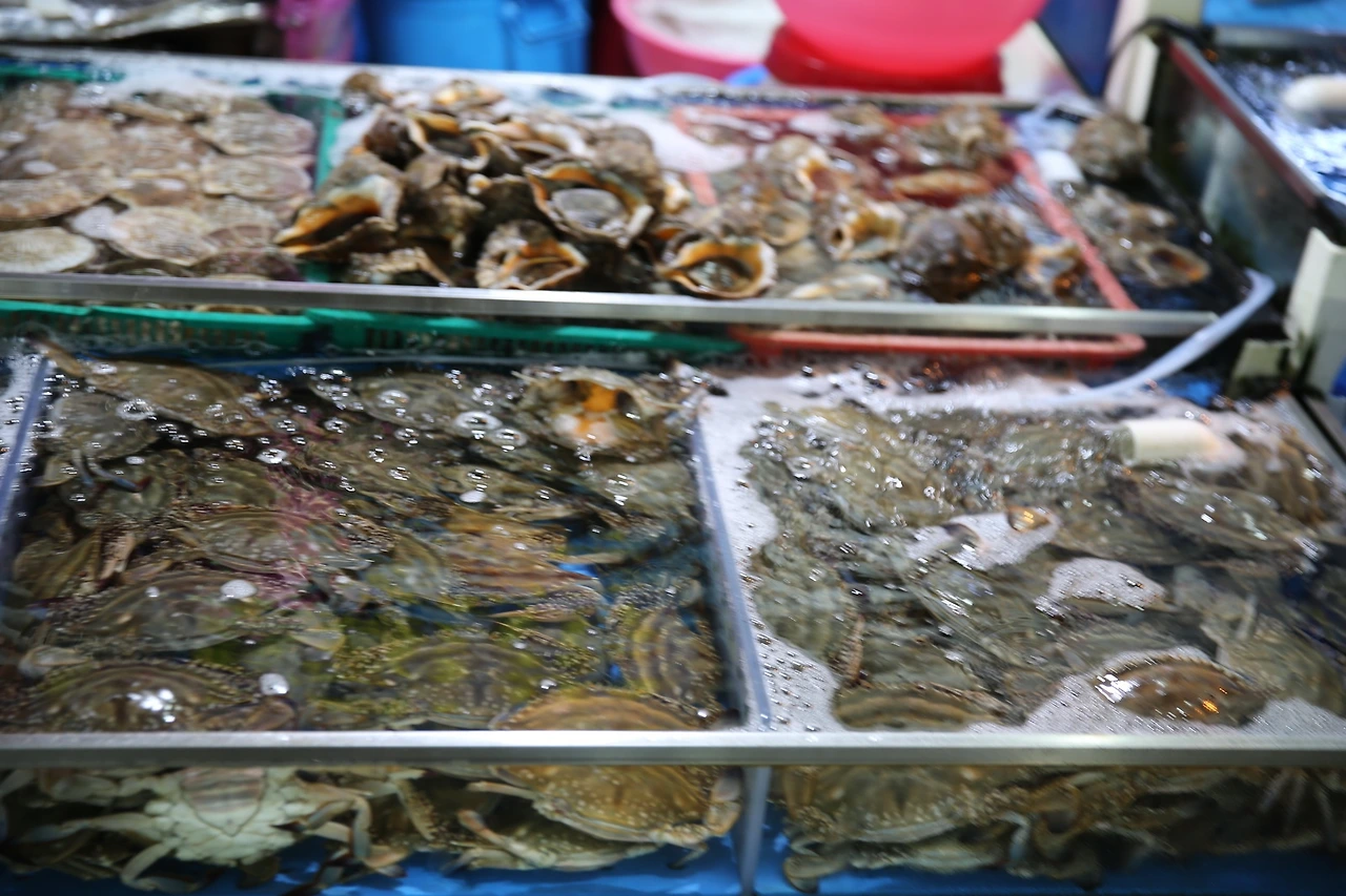 MG0A7797_новый размер.JPG