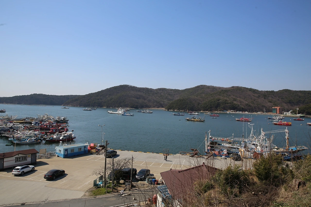 MG0A3393_новый размер.JPG