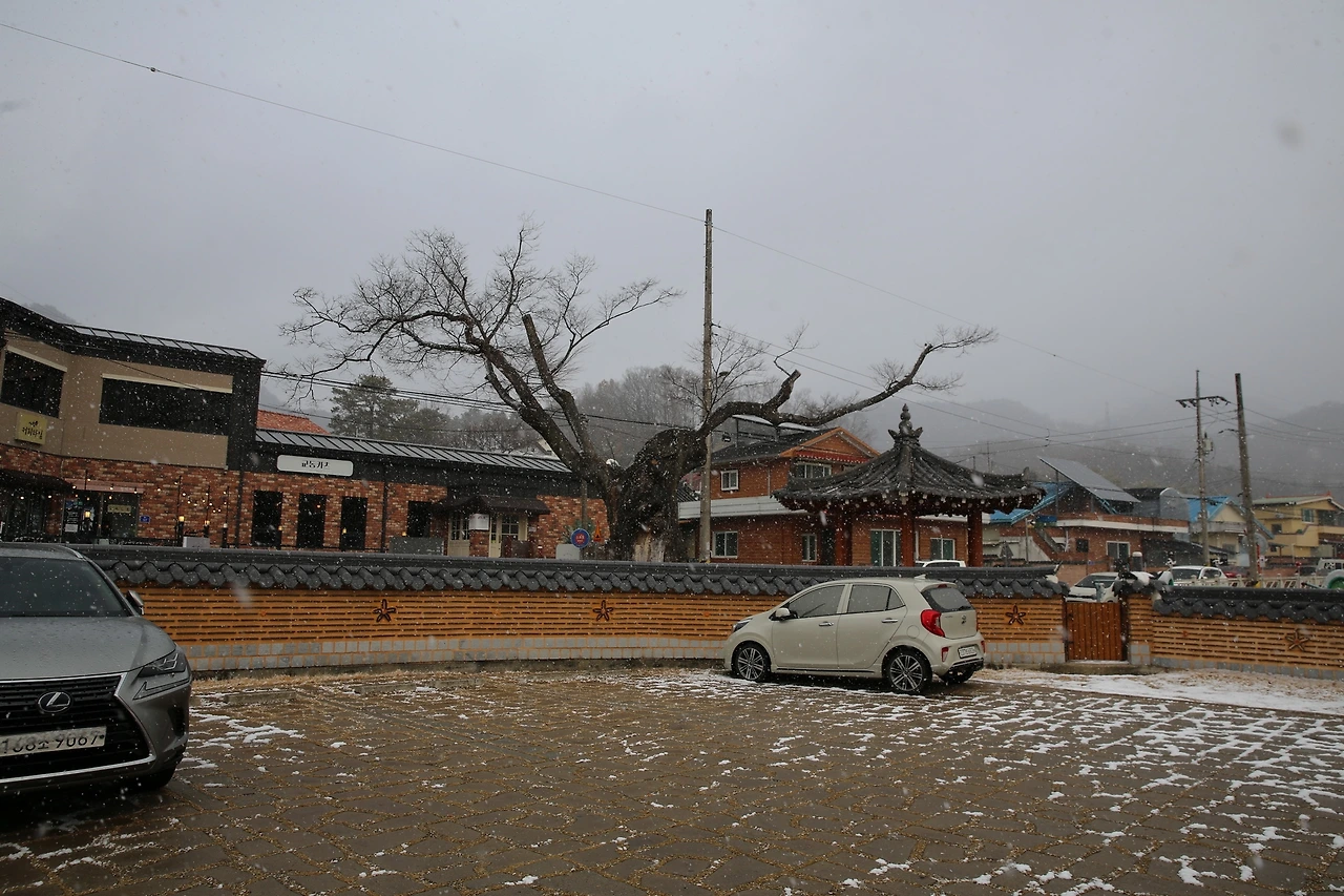 MG0A6133_новый размер.JPG