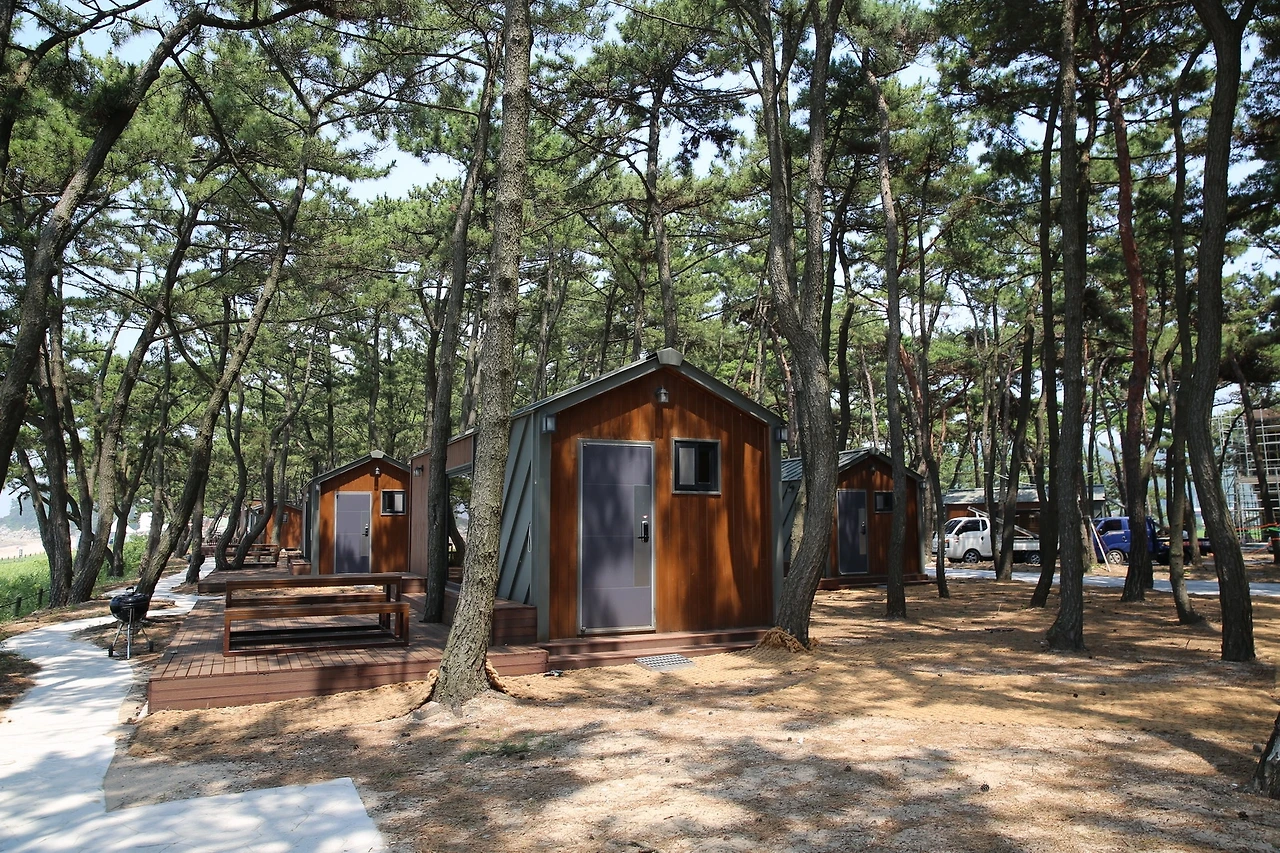 MG0A5732_новый размер.JPG