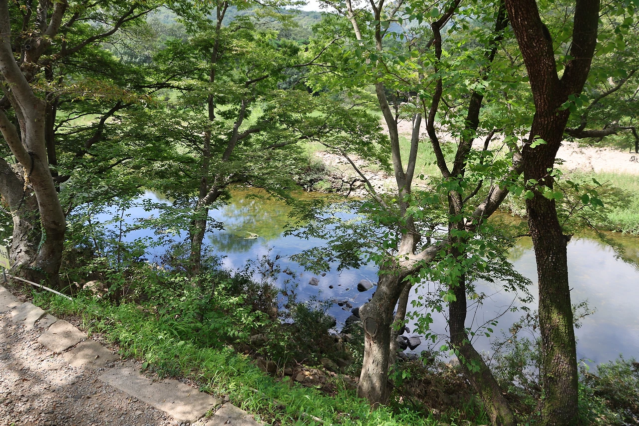 0R5A2534_новый размер.JPG