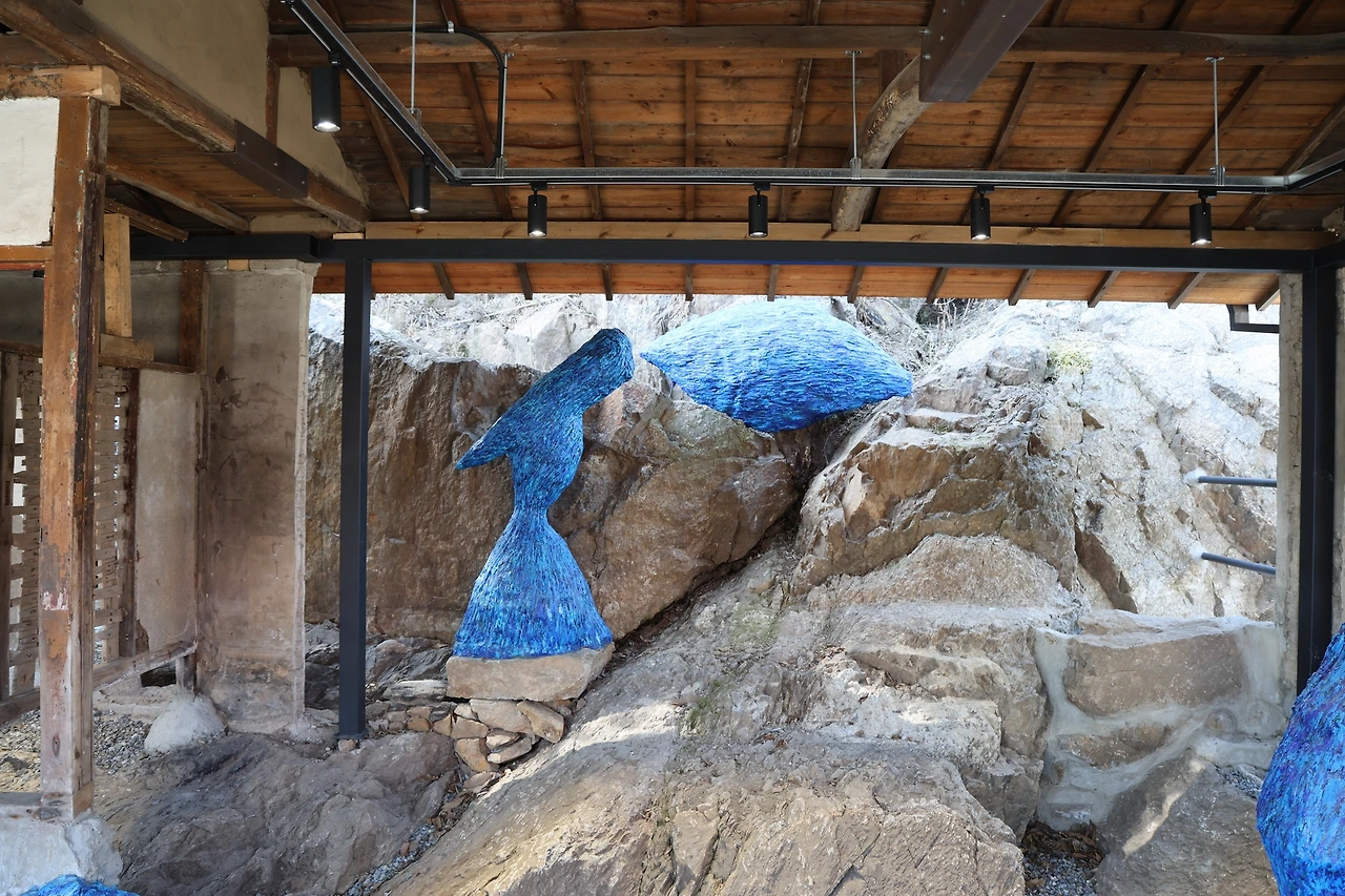 0R5A0231_новый размер.JPG