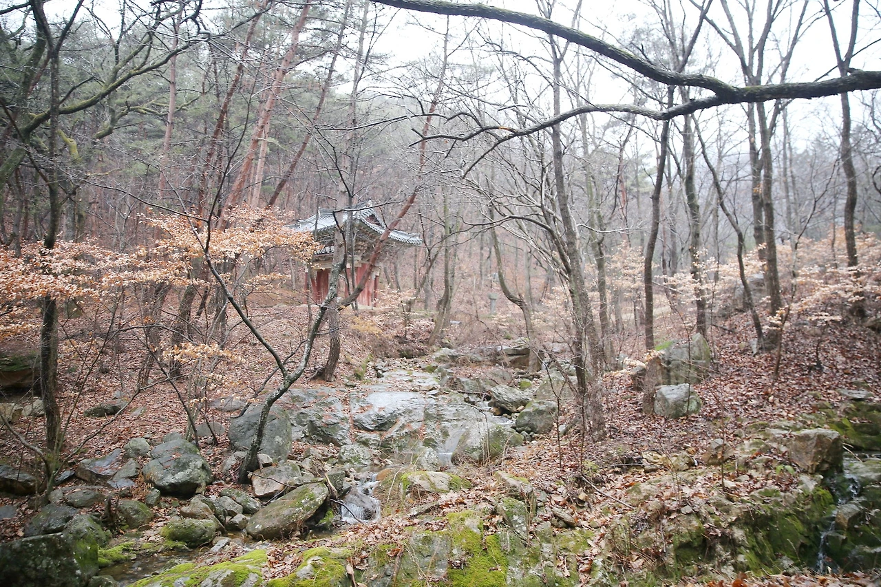 MG0A2284_новый размер_exposure.JPG