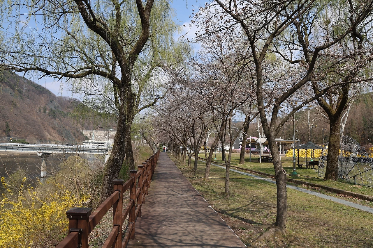 0R5A5673_новый размер.JPG