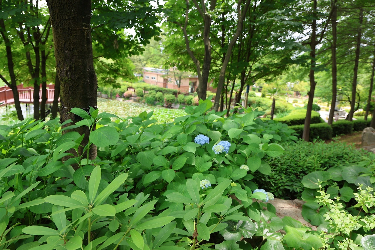 0R5A4566_новый размер.JPG