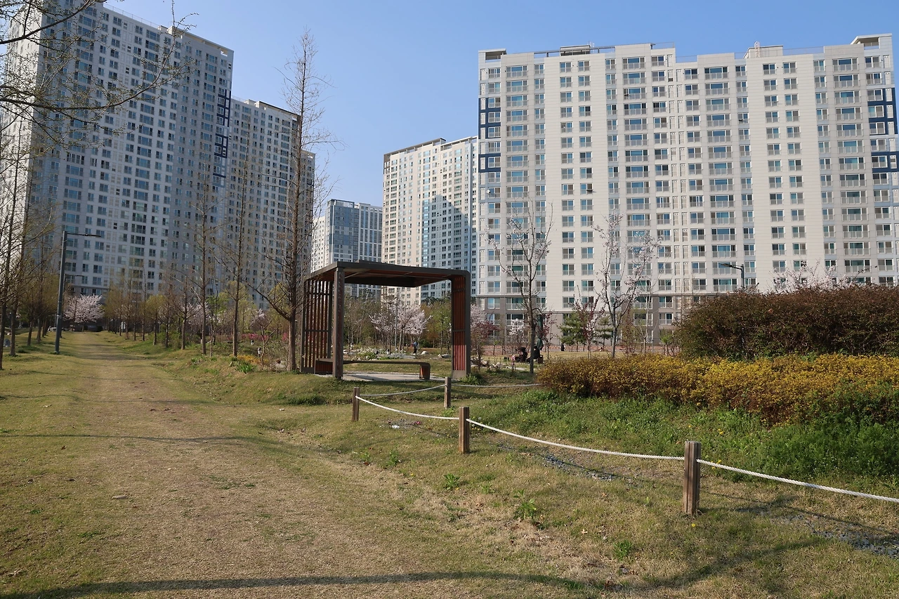 0R5A6310_новый размер.JPG