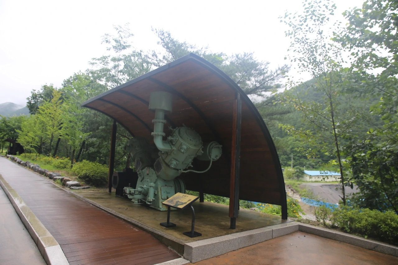 MG0A6361_новый размер.JPG