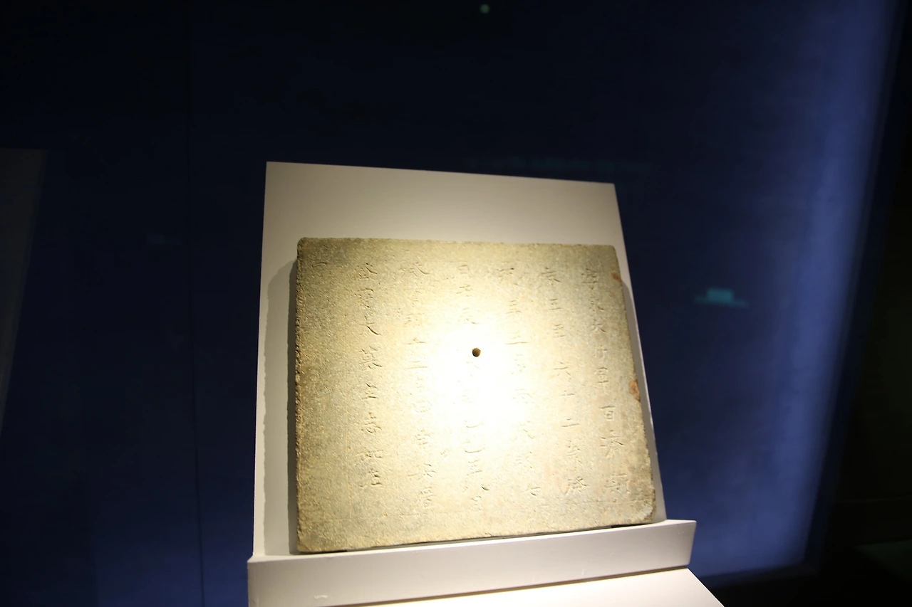 MG0A1017_новый размер.JPG