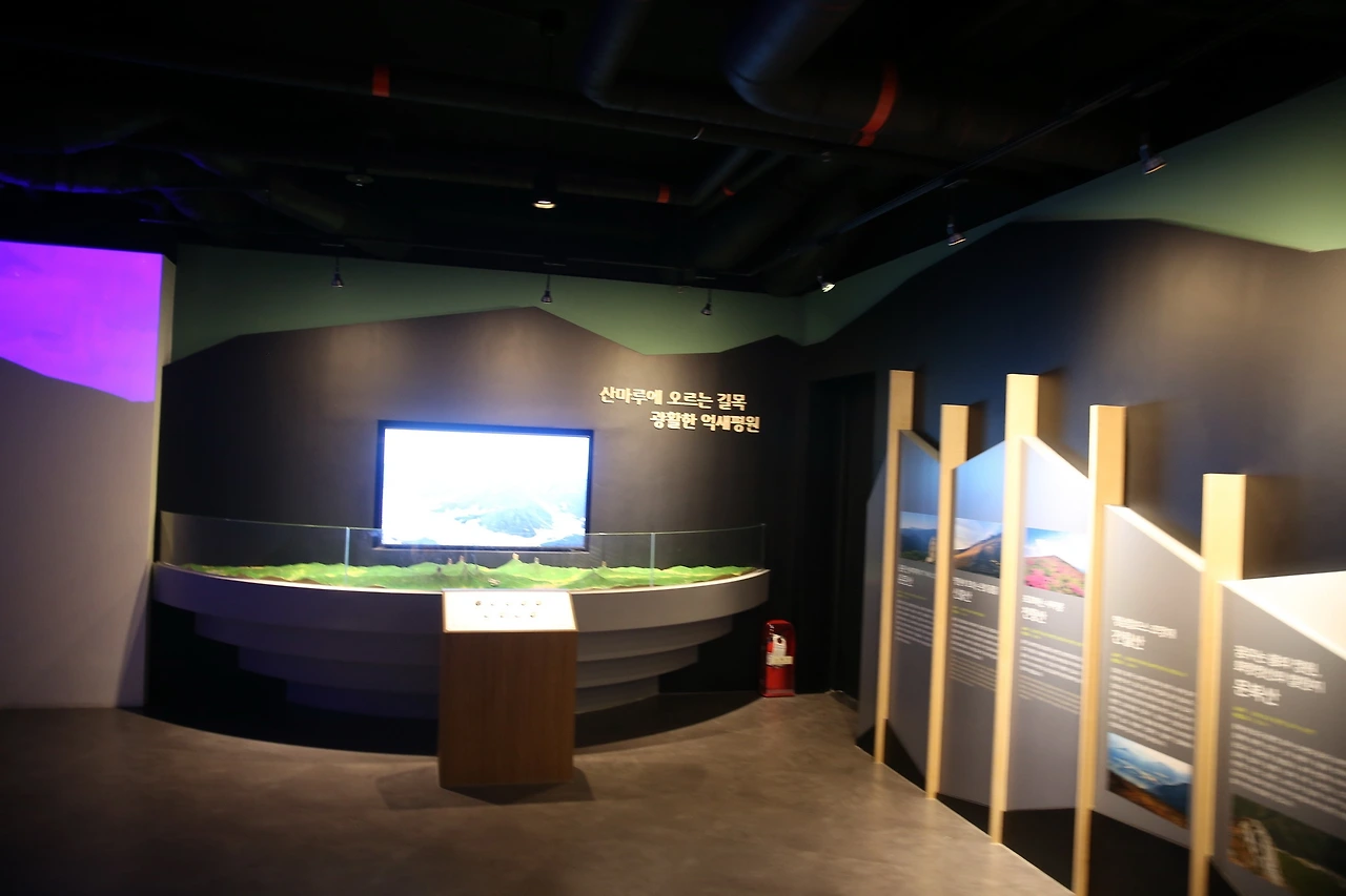 MG0A4433_новый размер.JPG