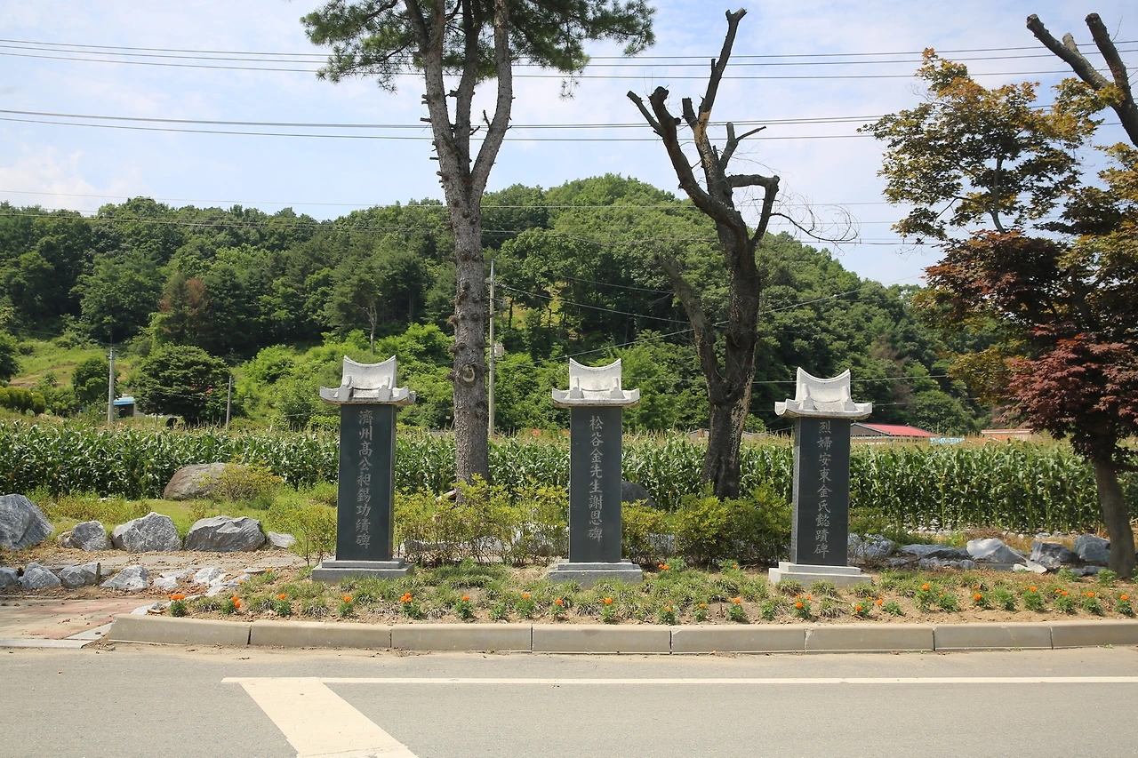 MG0A2157_новый размер.JPG