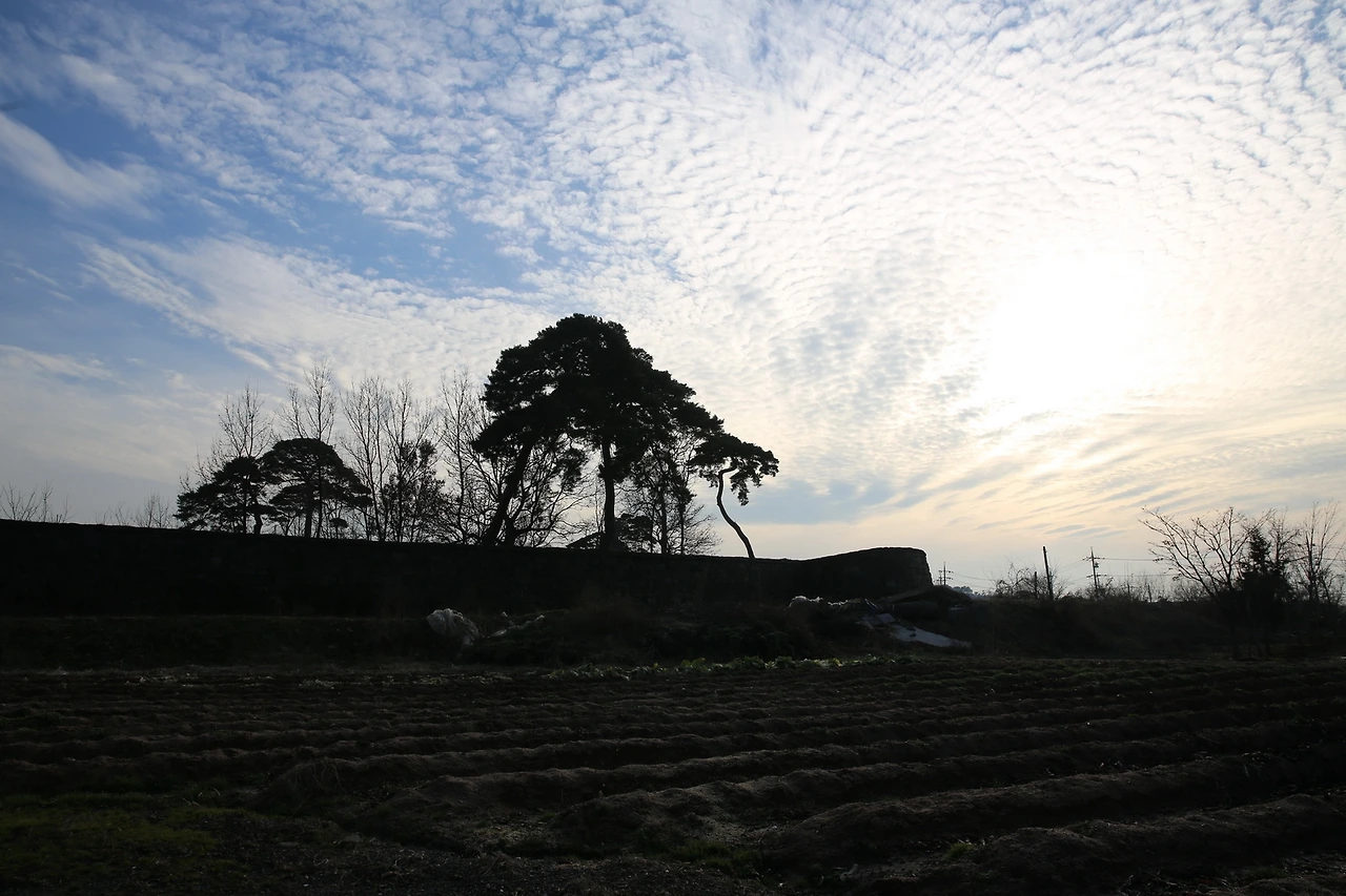 MG0A6902_новый размер.JPG