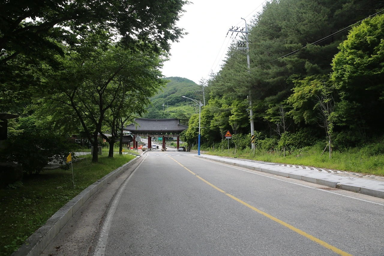 MG0A9895_новый размер.JPG