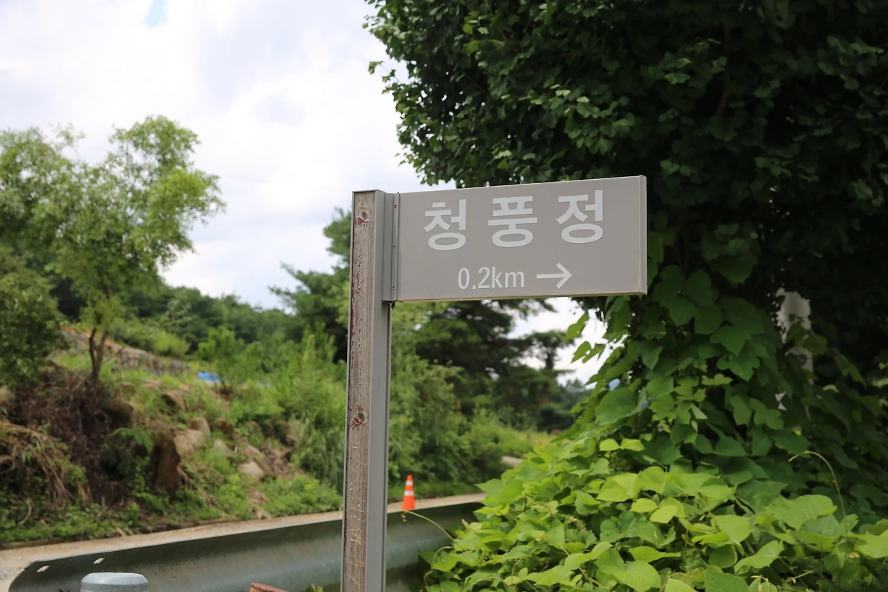 MG0A8678_новый размер.JPG