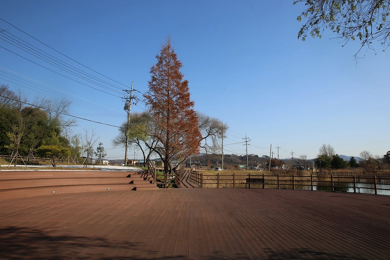 MG0A2702_новый размер.JPG