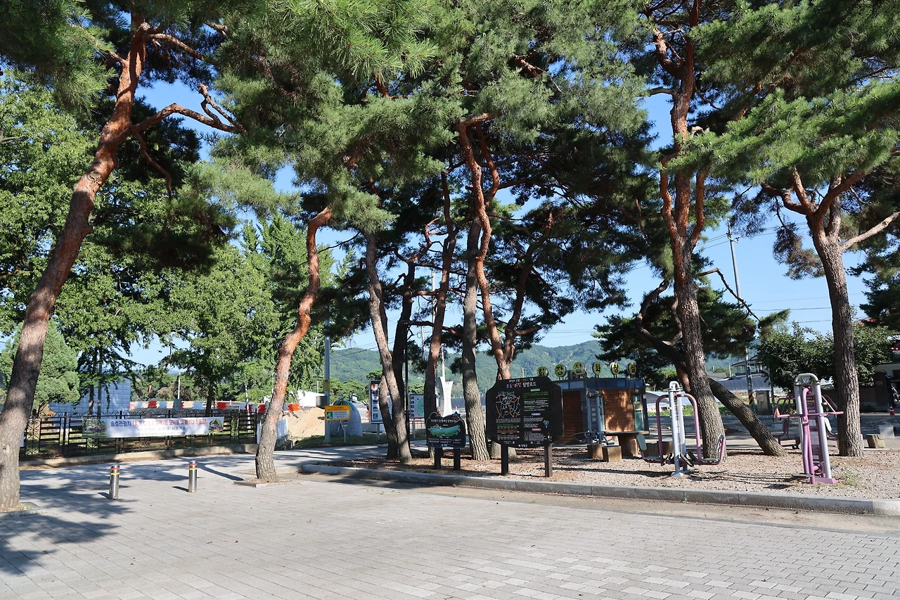 0R5A8087_новый размер.JPG