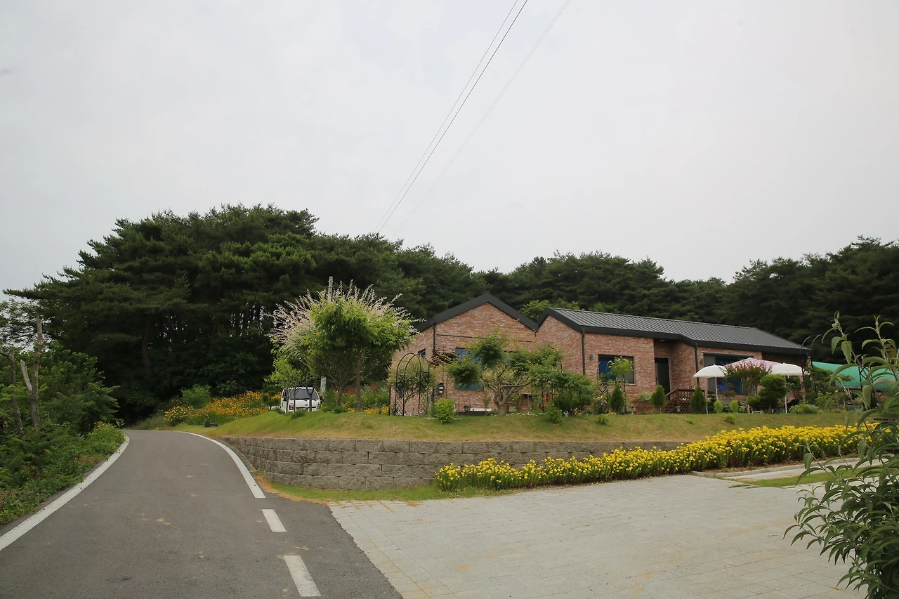 MG0A6949_новый размер.JPG