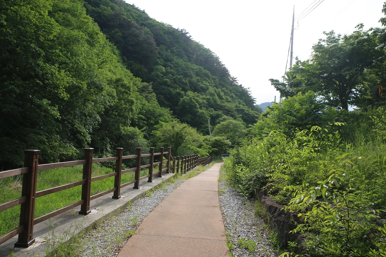 MG0A9881_новый размер.JPG