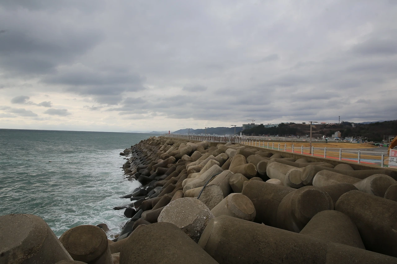 MG0A2610_новый размер.JPG