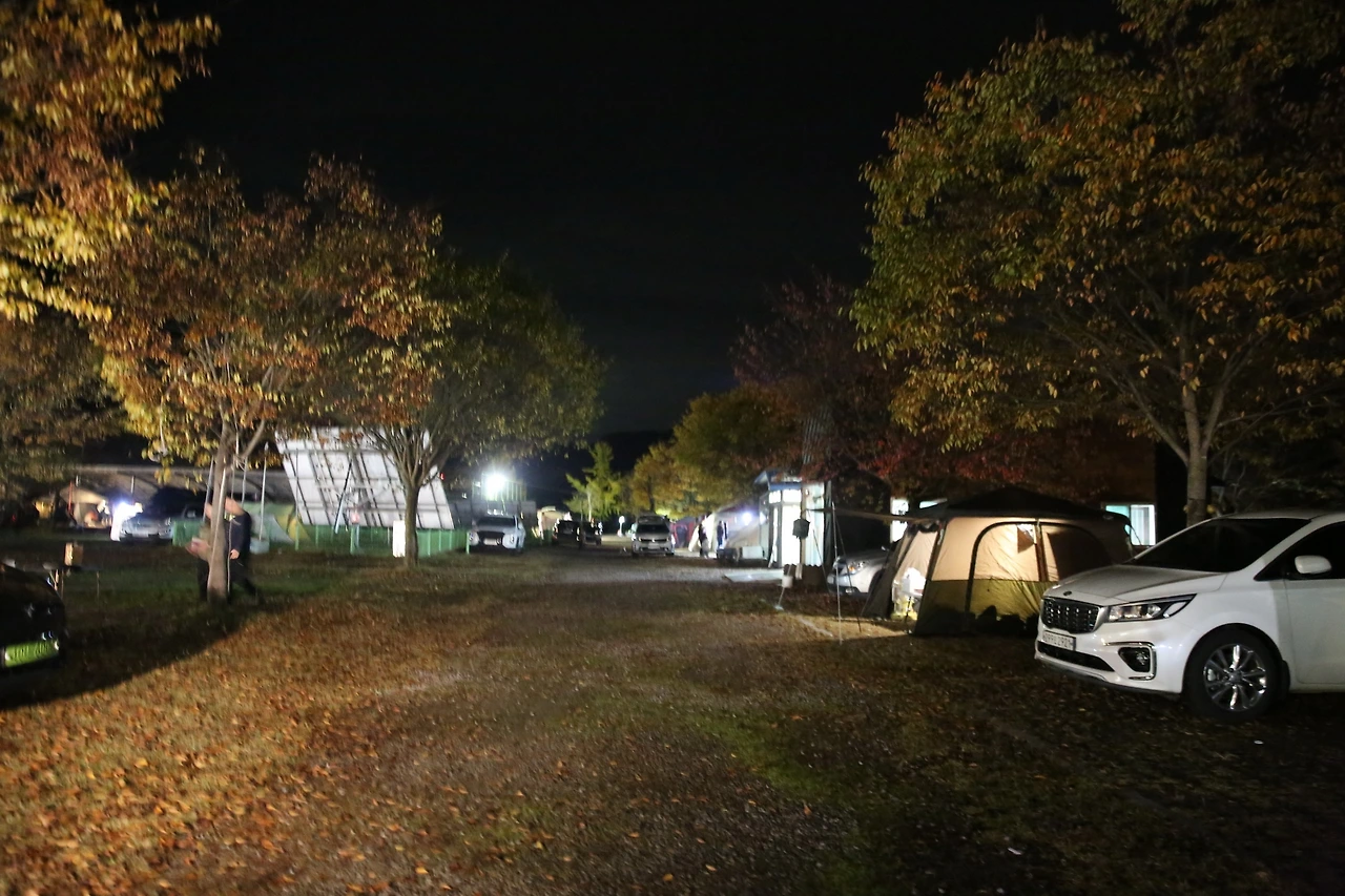 MG0A8856_новый размер.JPG