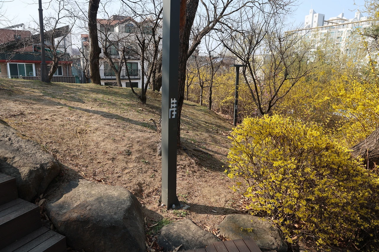 0R5A5498_новый размер.JPG