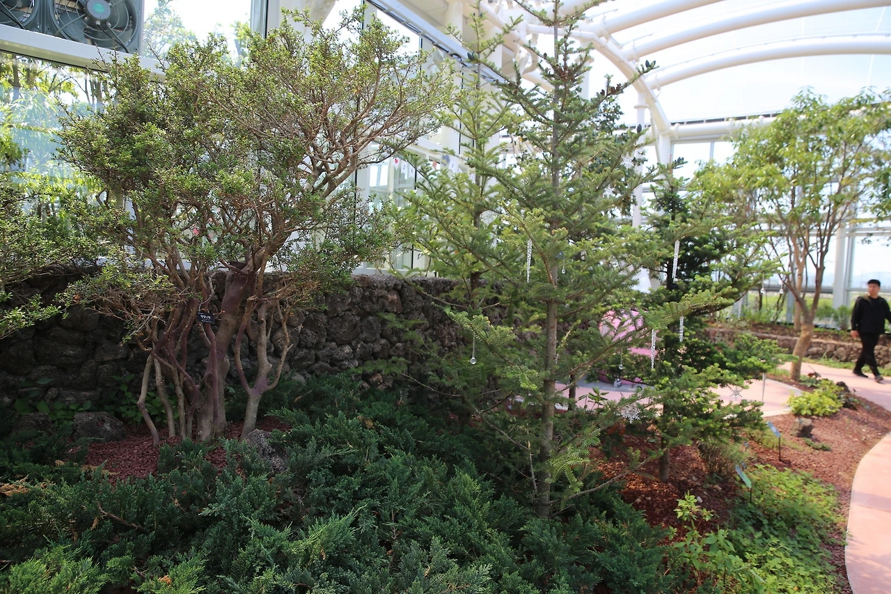 MG0A1921_новый размер.JPG