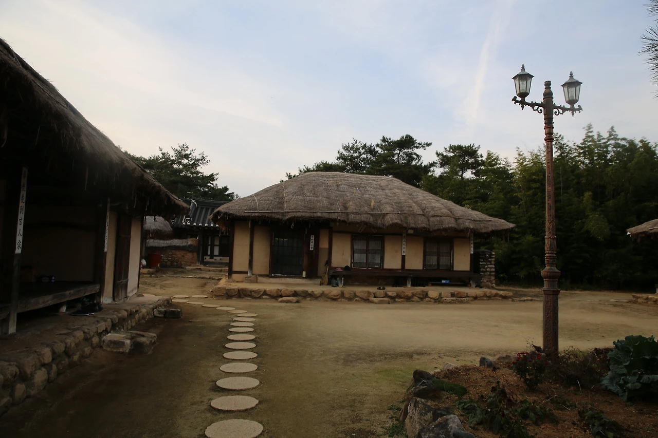 MG0A1821_новый размер.JPG