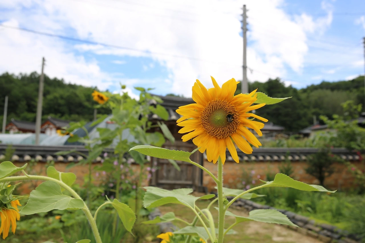 MG0A6668_новый размер.JPG