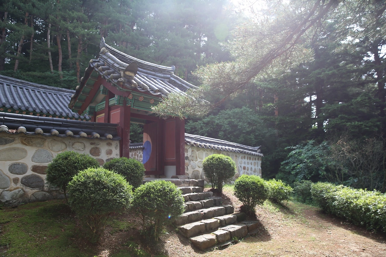 MG0A0680_новый размер.JPG