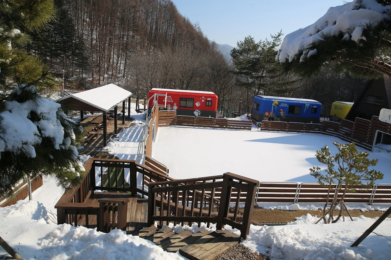 MG0A5037_новый размер.JPG