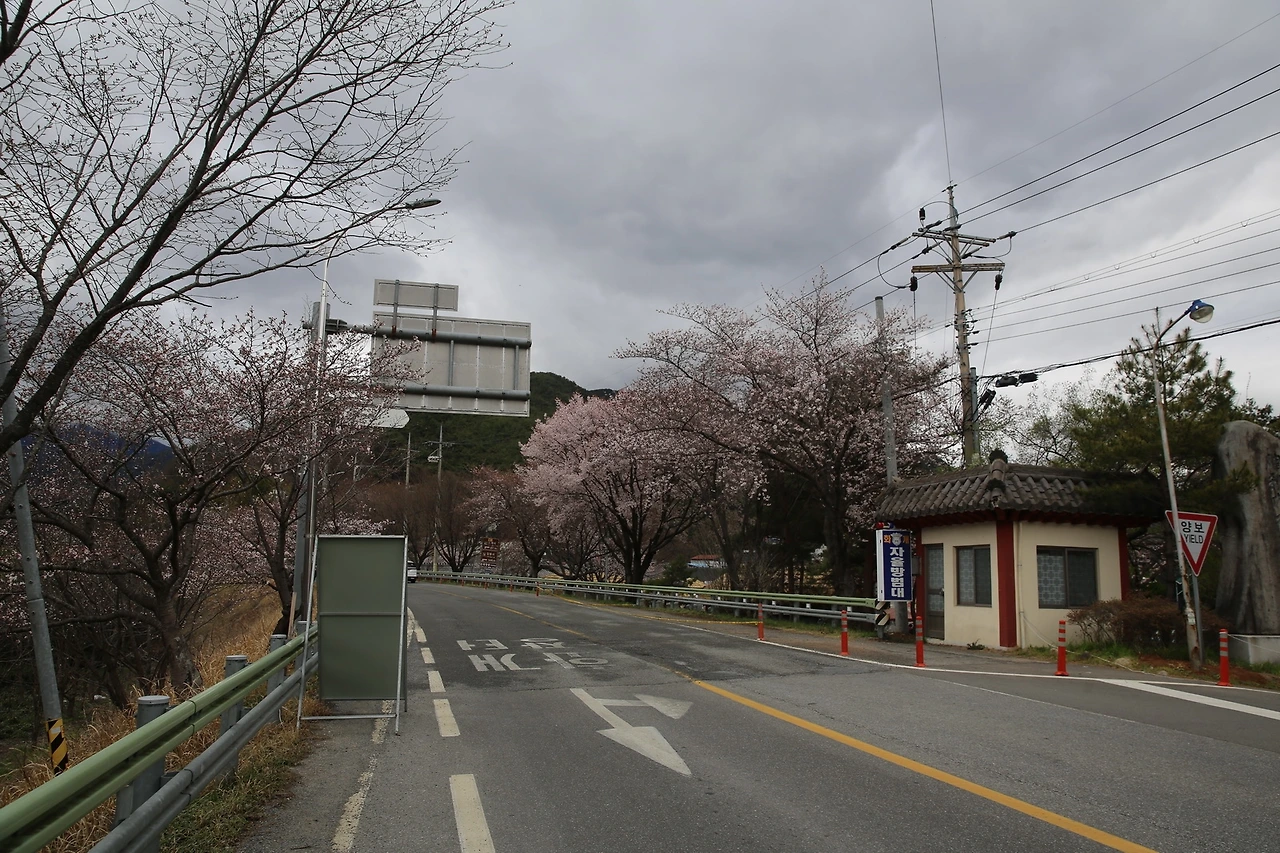 MG0A7182_новый размер.JPG