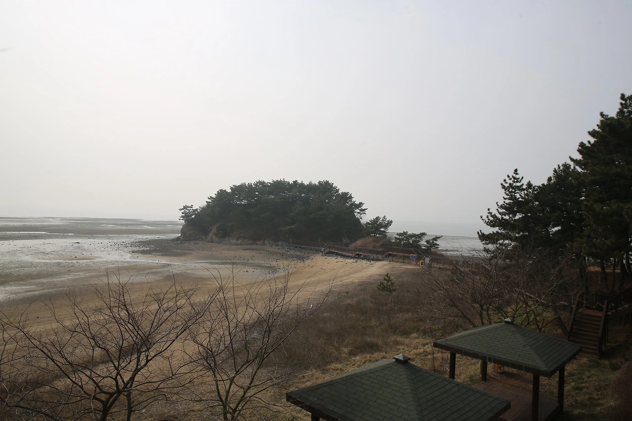 MG0A2203_новый размер.JPG