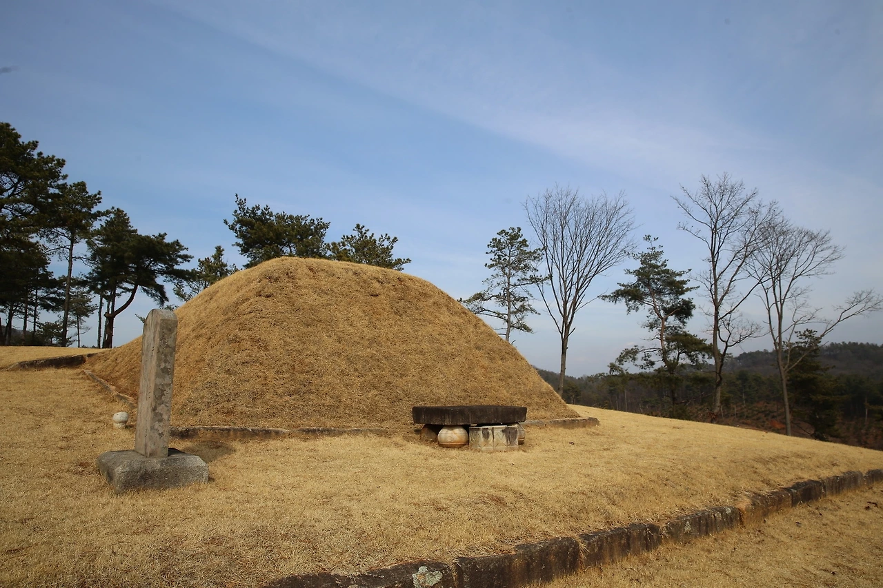 MG0A1521_новый размер.JPG