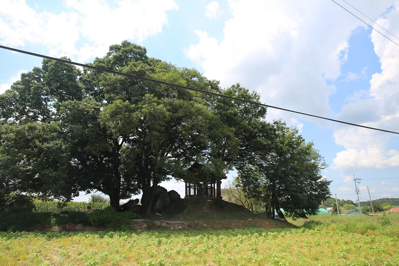 MG0A7858_новый размер.JPG